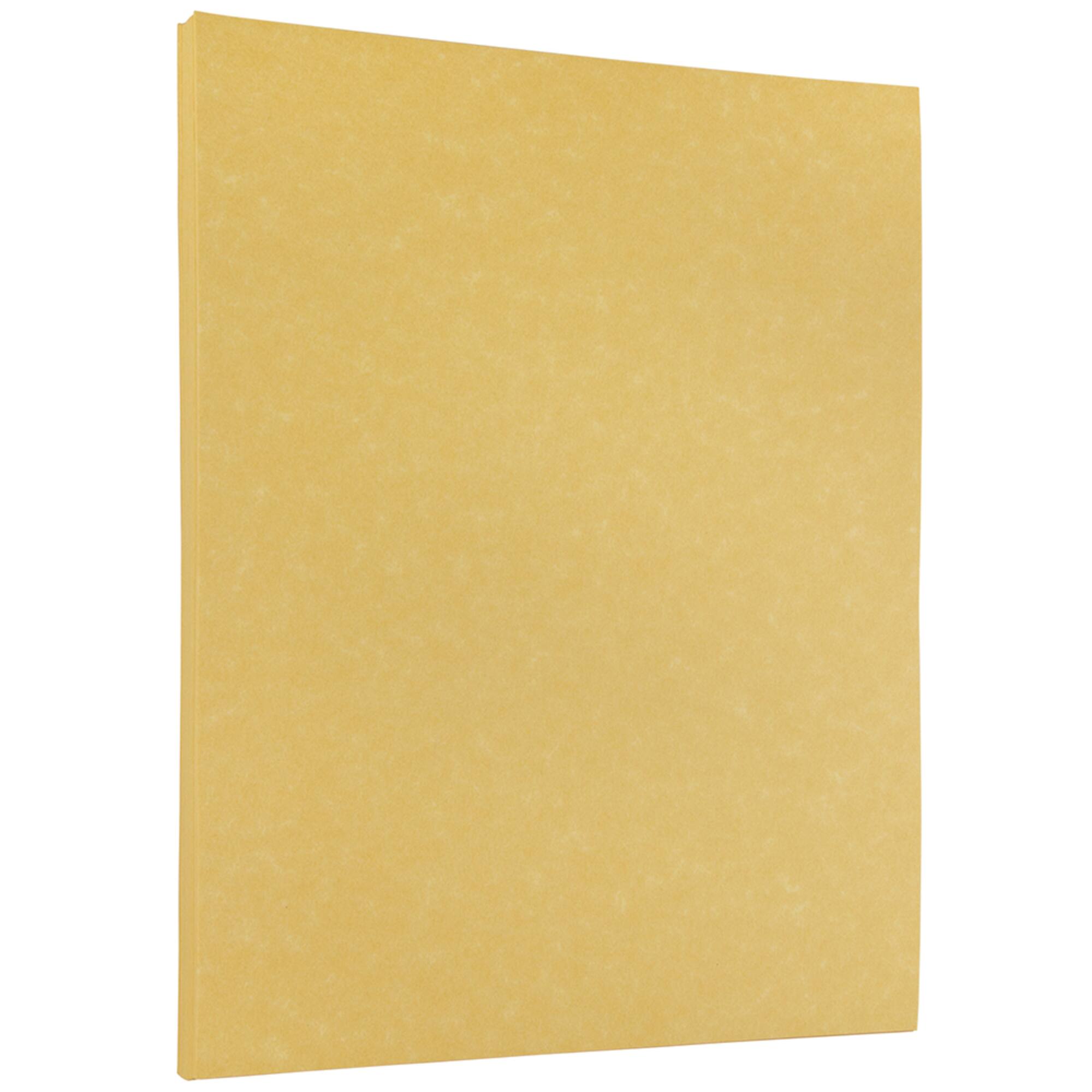 JAM Paper 8.5" x 11" Letter Paper & Envelopes #10 Business Stationery Set
